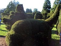 photos 2000-200902543